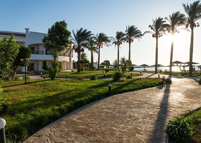 Sunrise Alma Bay 4*